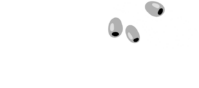 logo olivander's (5)